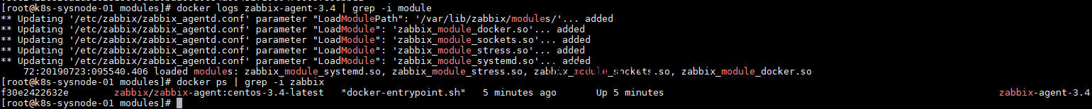 Zabbix-agent loaded docker module